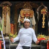 Giả