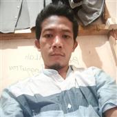 Gấu