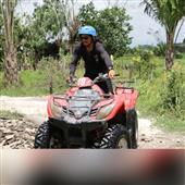 Thể