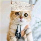NƯỚ
