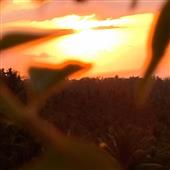 Sự 