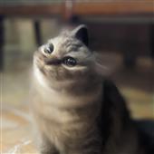 Chú