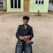 Cỏ 