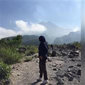 Gấu