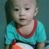 Fli