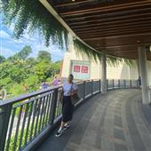 Luậ