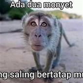 Các