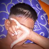 Cây