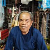 Đấu