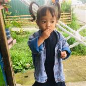 Bản