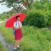 Bản