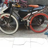 Trự