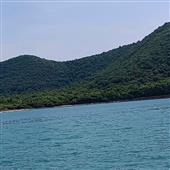 Bầu