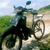 Giả
