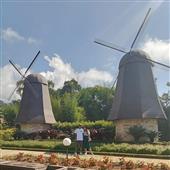 Cán