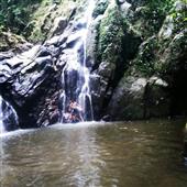 Hàn