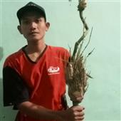 Tỷ 