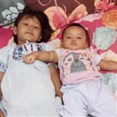 Bộ 