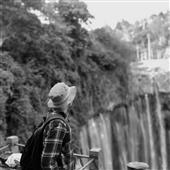Bản