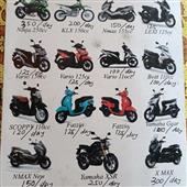Cuộ
