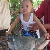 Thầ