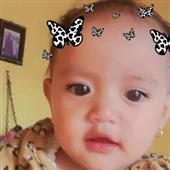 Xem