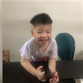 Giả