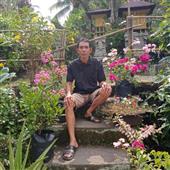 Xem
