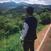 Tôm