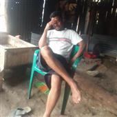 Bản