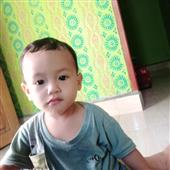 Giả