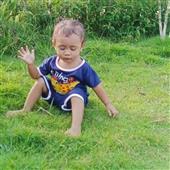Cầu