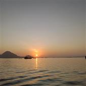 Trự