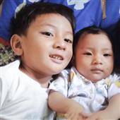 Gấu