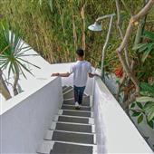 Giả