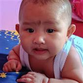 Bản