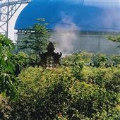 5 R