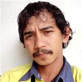Máy
