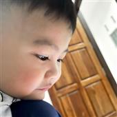 Bản