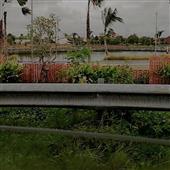 Hội