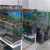 Kết