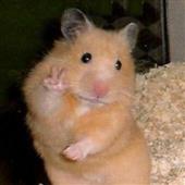 Vũ 