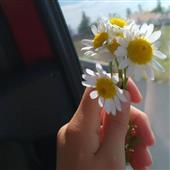 Vòn