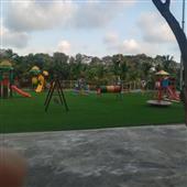 Nữ 