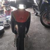Vua