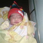 Vệ 