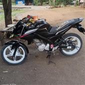 Ngọ