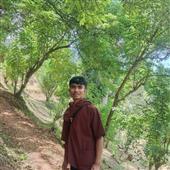 Gậy