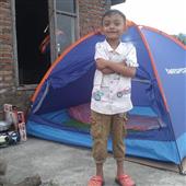 Đảo