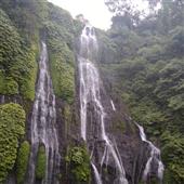 Thỏ